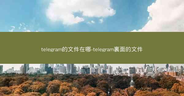 telegram的文件在哪-telegram裏面的文件