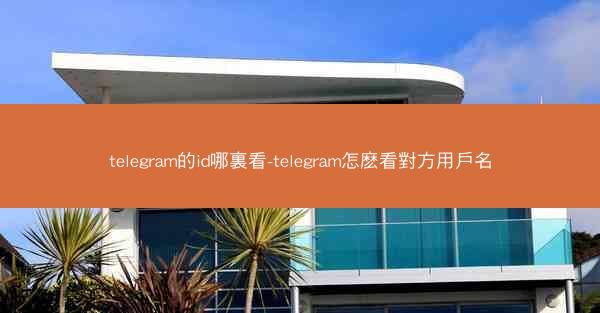 telegram的id哪裏看-telegram怎麽看對方用戶名