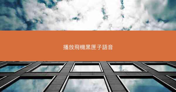 播放飛機黑匣子語音