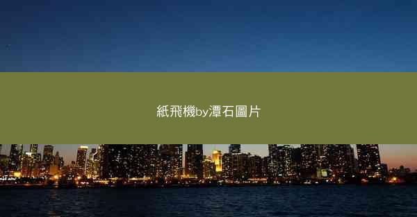 紙飛機by潭石圖片