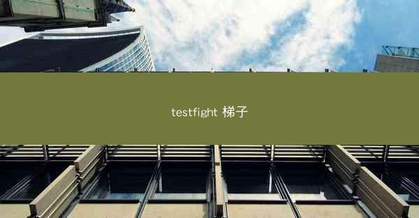 testfight 梯子