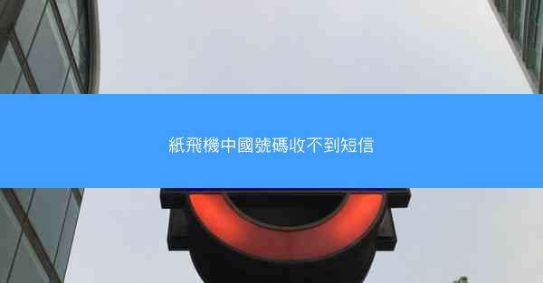 紙飛機中國號碼收不到短信