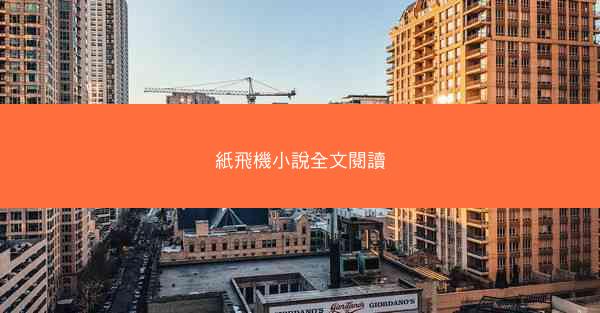 紙飛機小說全文閱讀