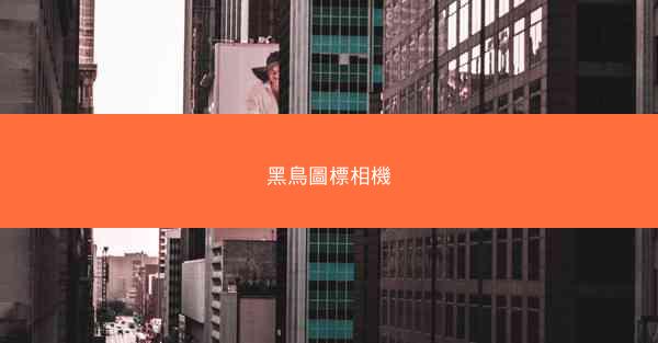 黑鳥圖標相機