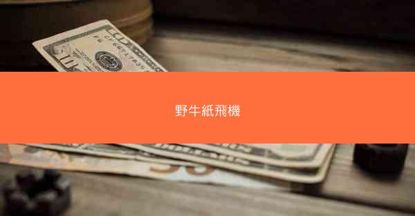 野牛紙飛機