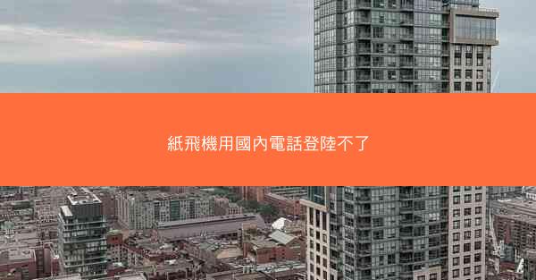 紙飛機用國內電話登陸不了