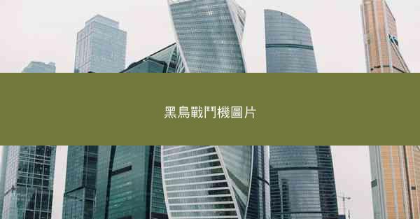 黑鳥戰鬥機圖片