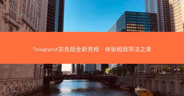TelegramX灰色版全新亮相，体验极致简洁之美
