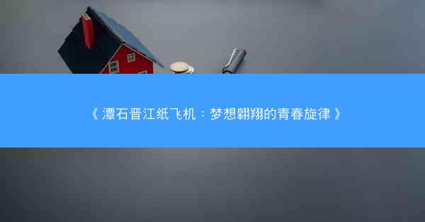 《潭石晋江纸飞机：梦想翱翔的青春旋律》