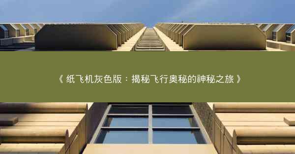 《纸飞机灰色版：揭秘飞行奥秘的神秘之旅》