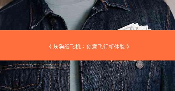 《灰狗纸飞机：创意飞行新体验》
