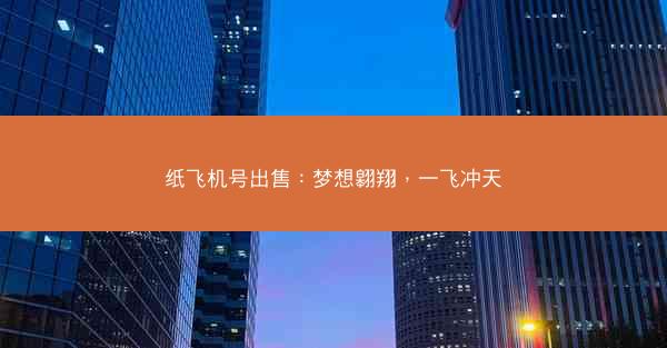 纸飞机号出售：梦想翱翔，一飞冲天