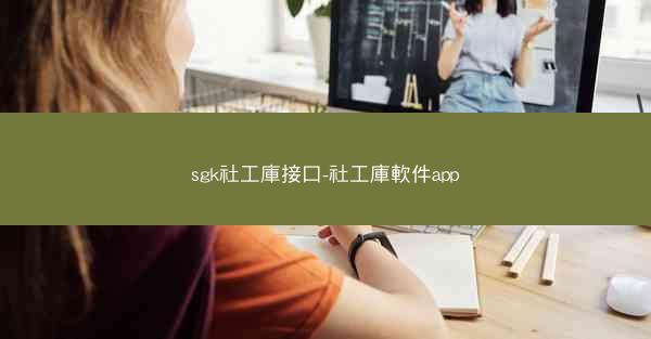 sgk社工庫接口-社工庫軟件app