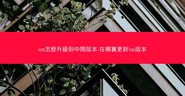 ios怎麽升級到中間版本-在哪裏更新ios版本