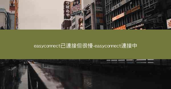 easyconnect已連接但很慢-easyconnect連接中