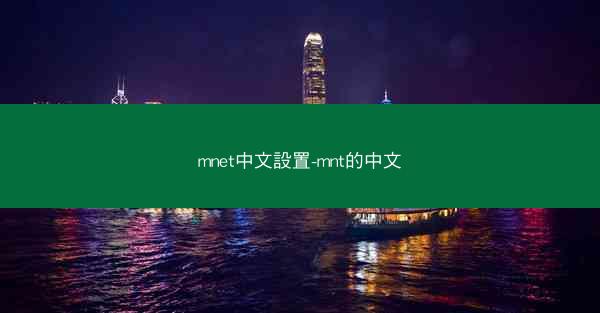 mnet中文設置-mnt的中文