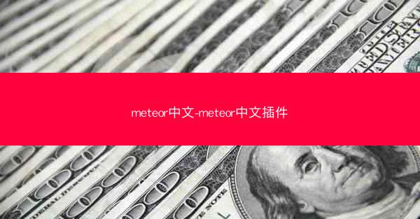 meteor中文-meteor中文插件