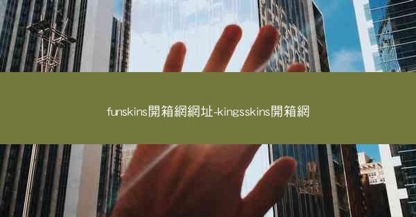 funskins開箱網網址-kingsskins開箱網